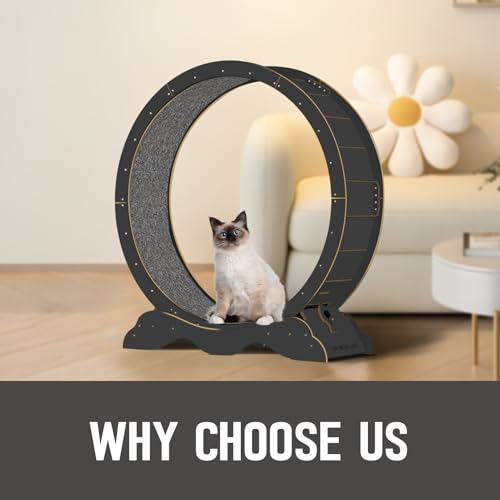 Cat Exercise Wheel 45 Inch Cat Treadmill for Indoor Cats, Running Wheel with Detachable Carpeted Runway