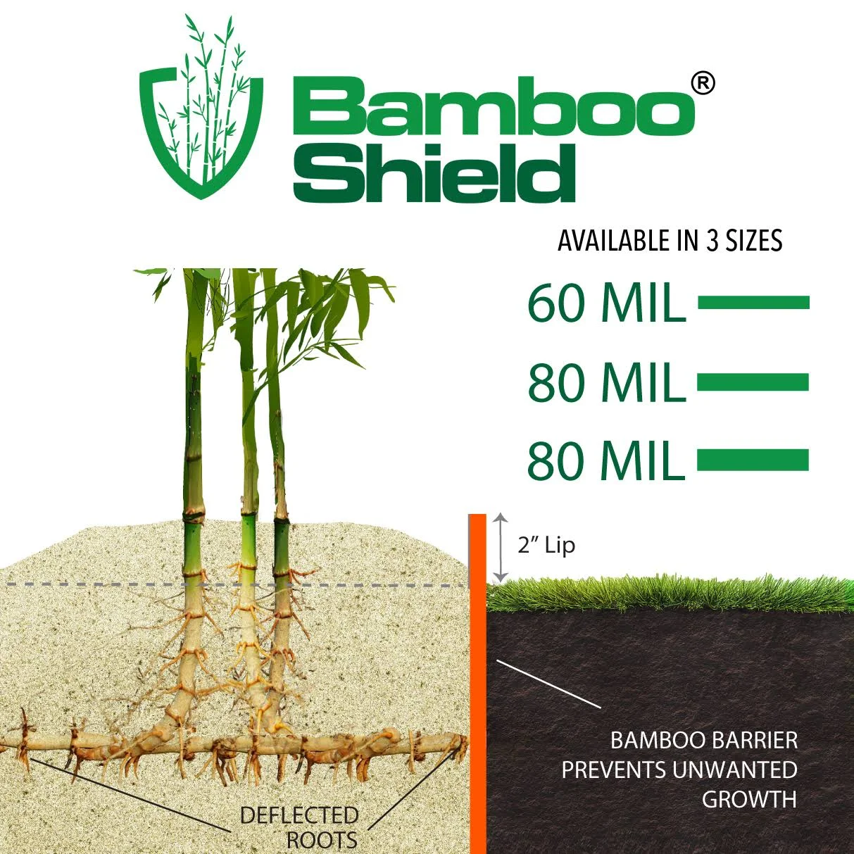 Bamboo Shield - 50 Feet Long x 24 inch x 60 Mil - Bamboo Root Barrier/Water Barrier