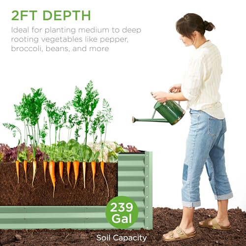 Best Choice Products 8x4x2ft Outdoor Metal Raised Garden Bed, Deep Root Planter Box for Vegetables, Flowers, Herbs