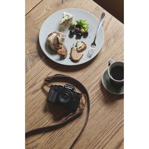 Panasonic Lumix G100 4K Mirrorless Camera with 12-32mm Lens for Photo and Video Vlogging (DC-G100KK) + Filter Kit + 64GB Card + Card Reader + Bag +