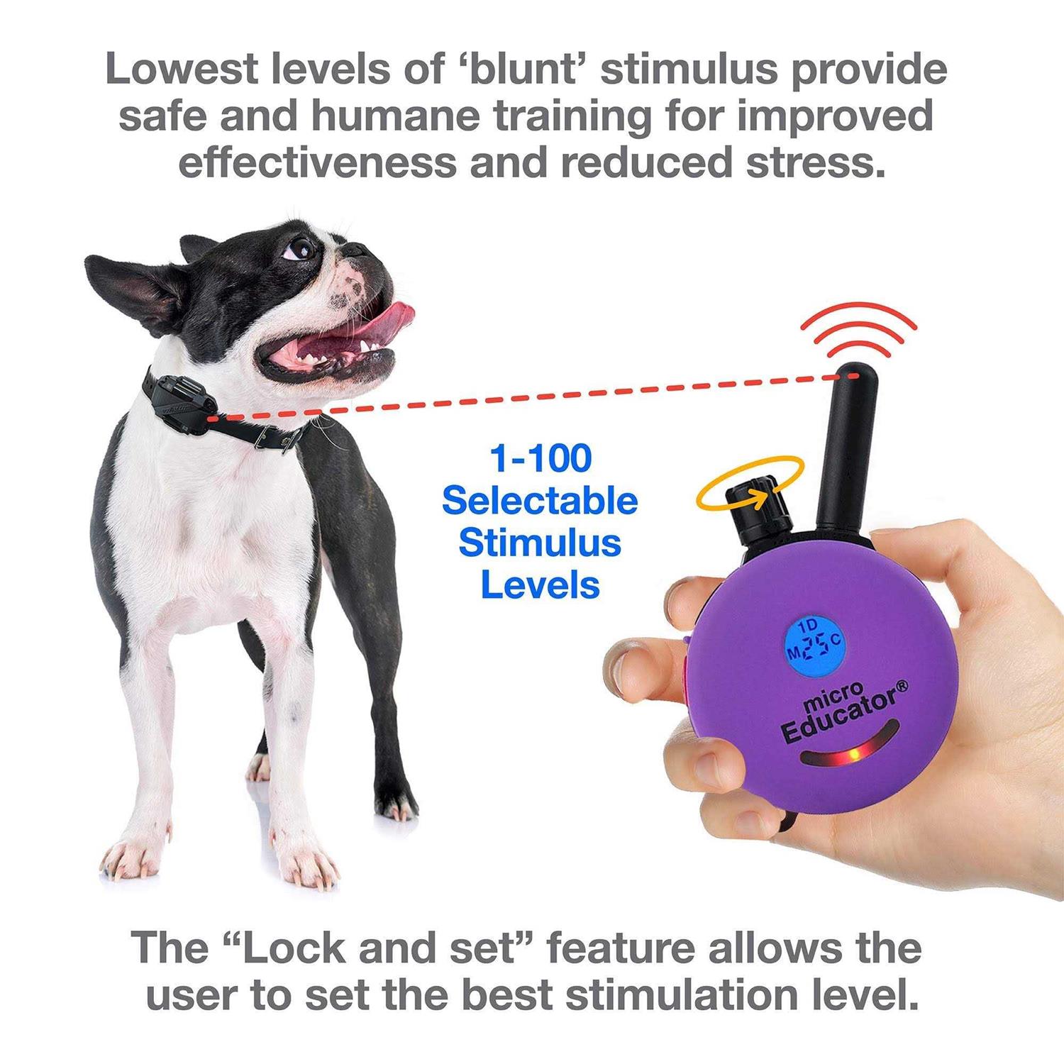 Micro Educator ME-300 1/3 Mile Remote Dog Training Collar by E-Collar - Pet Supplies online store