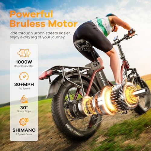 Folding Electric Bike for Adults with Peak 1000W Motor, 48V 20AH Battery up to 30MPH 80 Miles, 20" Fat Tire All Terrain Ebike