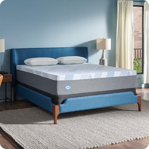 Sealy Dreamlife 12” Foam Mattress-in-a-Box, Full, SealyComfort Gel Memory Foam, SealySupport Transition Foam, Surface-Guard Technology