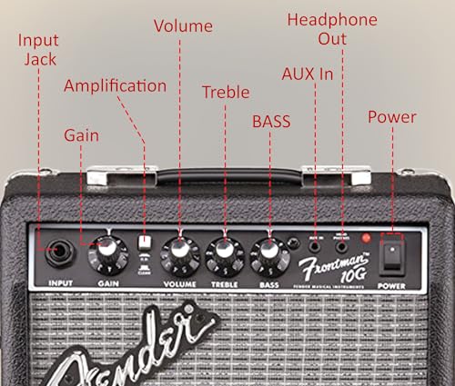 Fender Frontman 10G Guitar Combo Amplifier - Black Bundle with Cable and Austin Bazaar Exclusive 12-Pack Picks