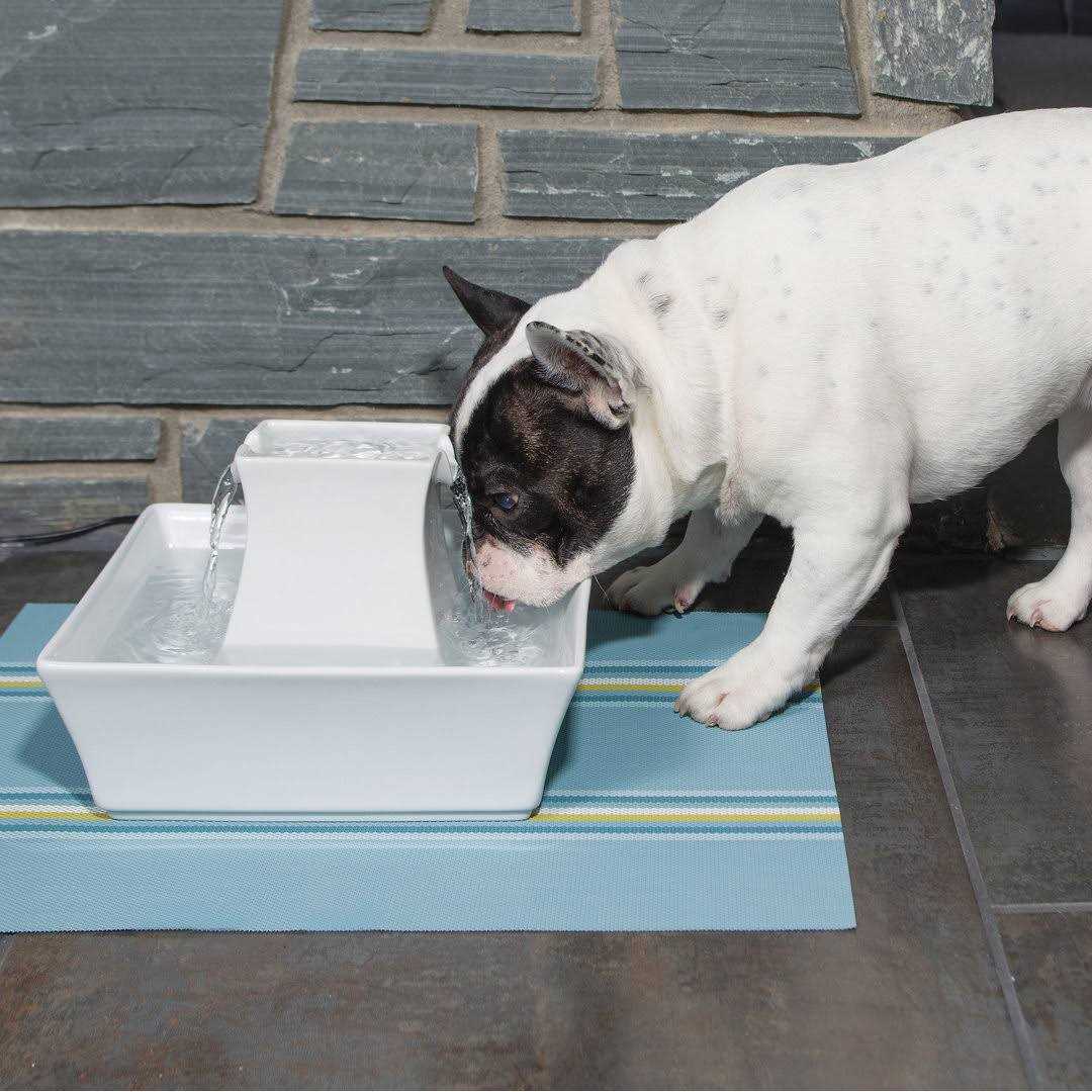 PetSafe Drinkwell Pagoda Fountain - Pet Supplies online store
