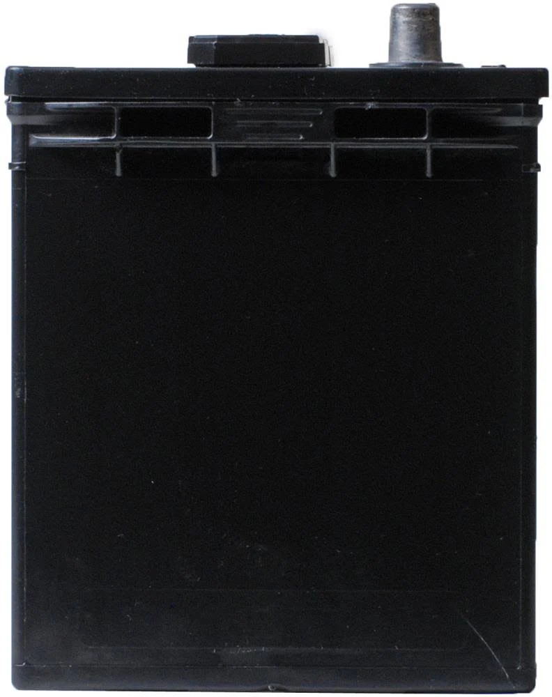 Duralast Gold Battery 25-DLG, Group Size 25, 640 CCA