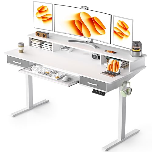 48x24 Inches Electric Standing Desk with 2 Drawers, Height Adjustable Stand up Desk for Home Office, Ergonomic Sit to Stand Table with Storage Shelf