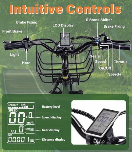 Adult Electric Tricycle Adult Tricycle 3 Wheel Bikes Adults Electric Three Wheel Bike - Radiant Selections