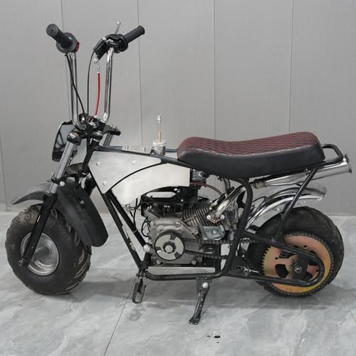 JMCHSTORE Stainless Steel Mini Bike Gas Fuel Tank for Montser Mega moto MMB80 105cc, for Coleman RB100 Realtree RT100