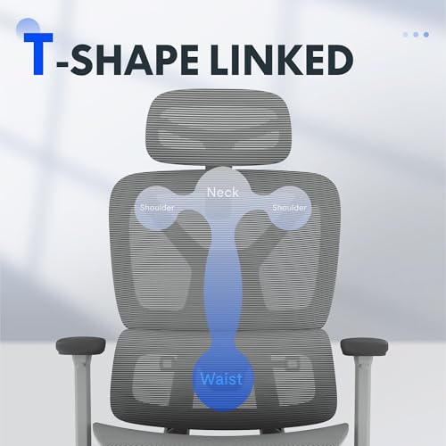 FLEXISPOT ErgoX Premium Ergonomic Office Chair with Footrest- Adjustable 3D Armrests, Dynamic Lumbar Support, Recline & Tilt Function, Mesh Seat