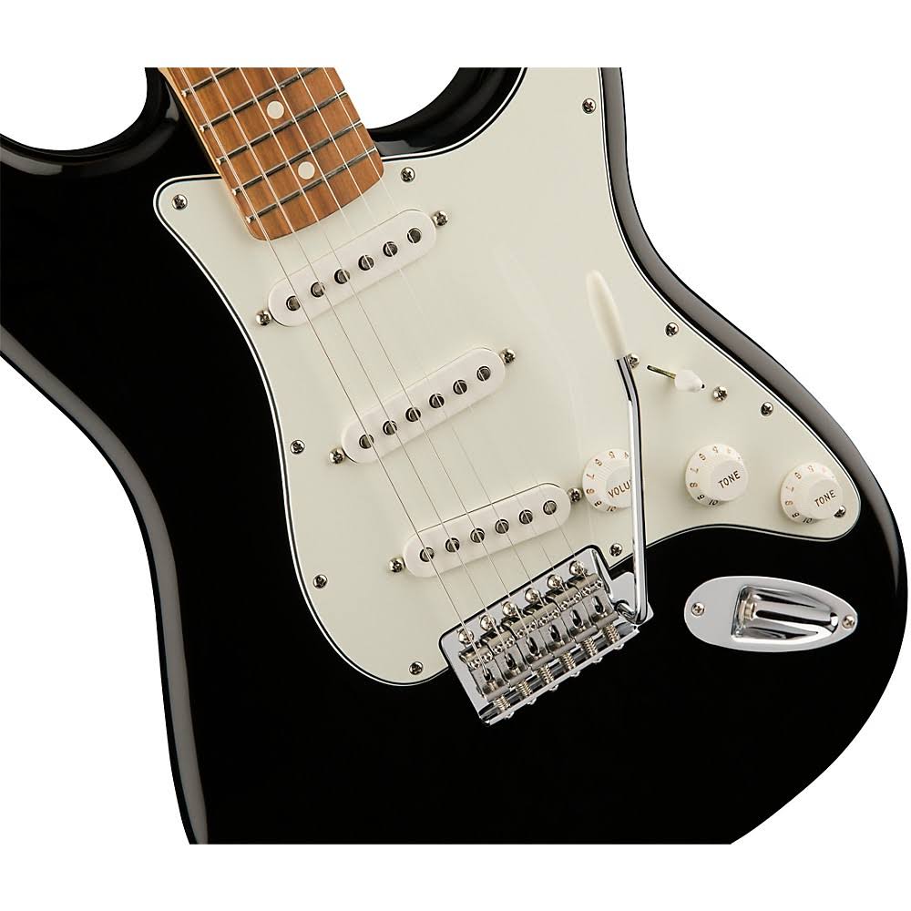 Fender Standard Stratocaster Pau Ferro Fingerboard Black