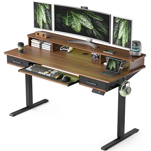 48x24 Inches Electric Standing Desk with 2 Drawers, Height Adjustable Stand up Desk for Home Office, Ergonomic Sit to Stand Table with Storage Shelf