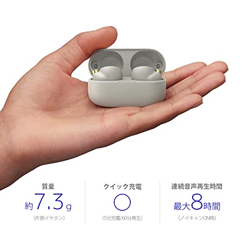 Sony Truly Wireless Noise Cancelling Headphone - Optimised for Alexa and Google Assistant - with Built-in mic for Calls - Bluetooth Connection