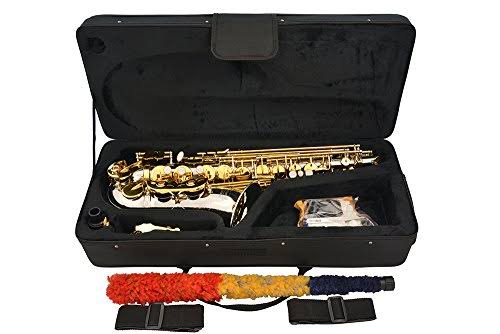 Lazarro Professional Silver Body-Gold Keys Eb E Flat Alto Saxophone Sax with 11 Reeds, Case u0026 Many Extras - 360-2C