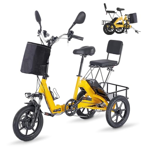 Electric Tricycle for Adults Foldable, 350W(Peak 500W) Folding Electric Trike, 3 Wheel Bikes for Adults with 480Wh Removable Battery