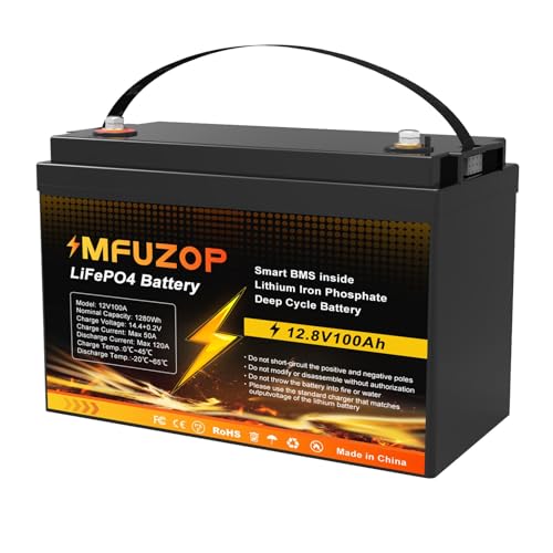 12V 100Ah LiFePO4 Battery, Built-in 100A BMS with Low-Temp Protection, Group 31 Deep Cycle Lithium Battery, Up to 20000 Cycles for RV, Marine