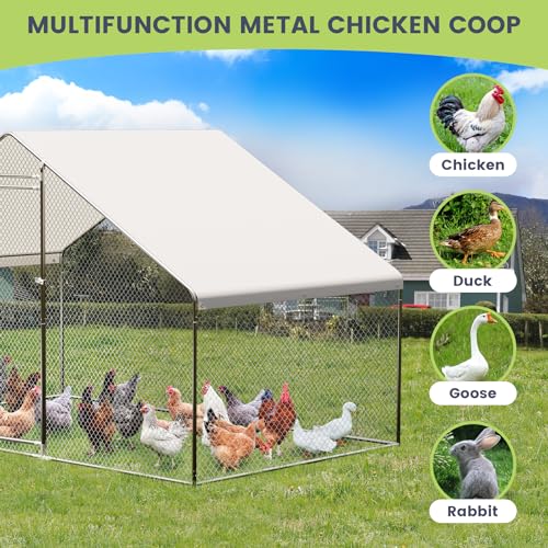 Large Metal Chicken Coop, Large Chicken Pen, Chicken Runs for Yard with Waterproof and Anti-UV Cover, Duck Rabbit House Outdoor (9.8'