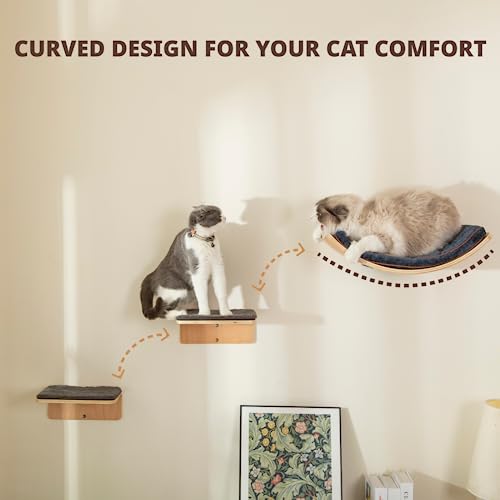 Cat Wall Shelf with Two Steps - Wave Cat Shelves and Perches for Wall - Wall Mounted Cats Furniture for Sleeping, Playing, Climbing, and Lounging
