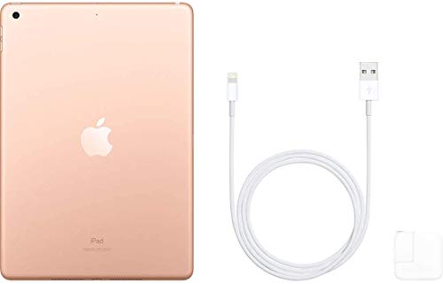 Apple iPad (10.2-Inch, Wi-Fi, 32GB) - Space Gray (Renewed)