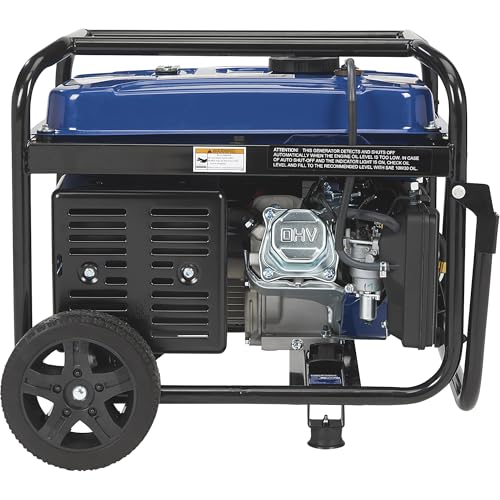 Powerhorse Portable Dual Fuel Generator with Electric Start, 9500 Watts