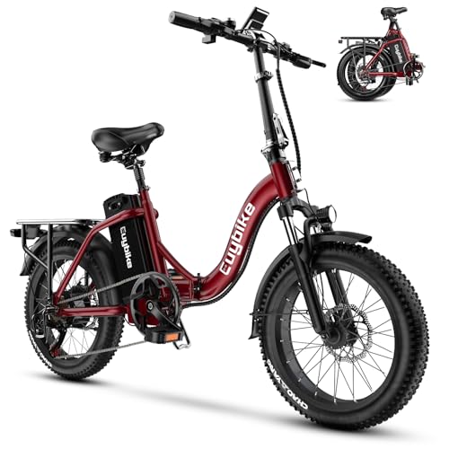 Folding Electric Bike for Adults with Peak 1000W Motor, 48V 20AH Battery up to 30MPH 80 Miles, 20" Fat Tire All Terrain Ebike