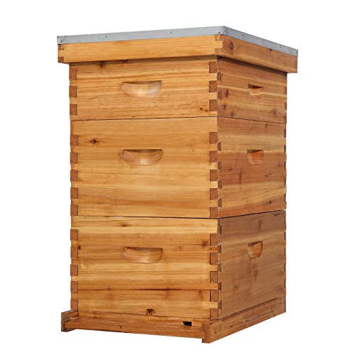 VINGLI 10-Frame Bee Hive, Wax Coated Beehive Starter Kit with Frames & Beeswax Coated Foundation Sheets (3 Layer)
