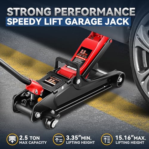 Auto Dynasty 4 Ton Low Profile Floor Jack, Heavy Duty Steel Hydraulic Car Jack with Dual Pistons Quick Lift Pump, Hydraulic Racing Floor Jack