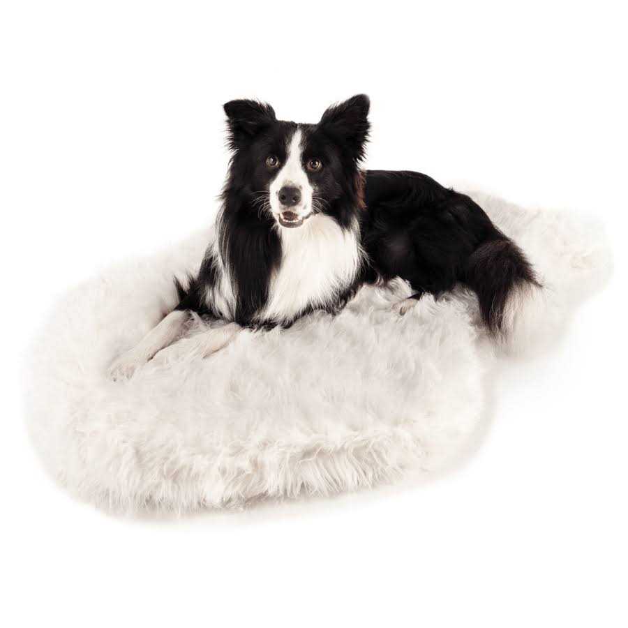 Paw PupRug Faux Fur Orthopedic Dog Bed - Pet Supplies online store