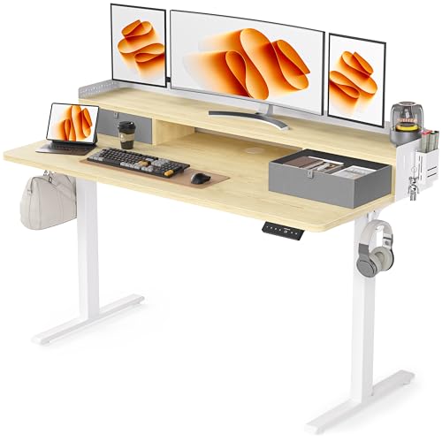 48x24 Inches Electric Standing Desk with 2 Drawers, Height Adjustable Stand up Desk for Home Office, Ergonomic Sit to Stand Table with Storage Shelf