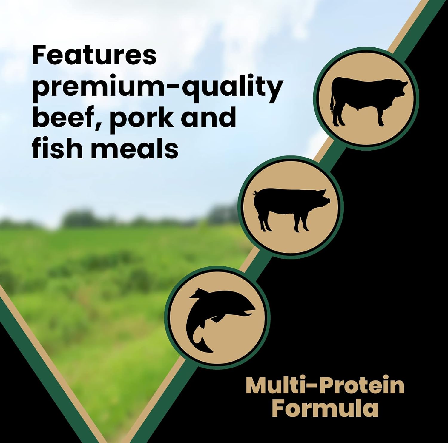 Victor Super Premium Dog Food – Purpose