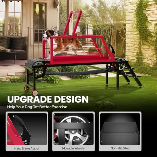 Dog Treadmill for Medium Large Dogs,91" Treadmill for Dogs with Brake