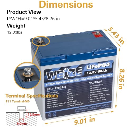 Weize 12V 100Ah TM Bluetooth LiFePO4 Lithium Battery, Built-in 120A BMS