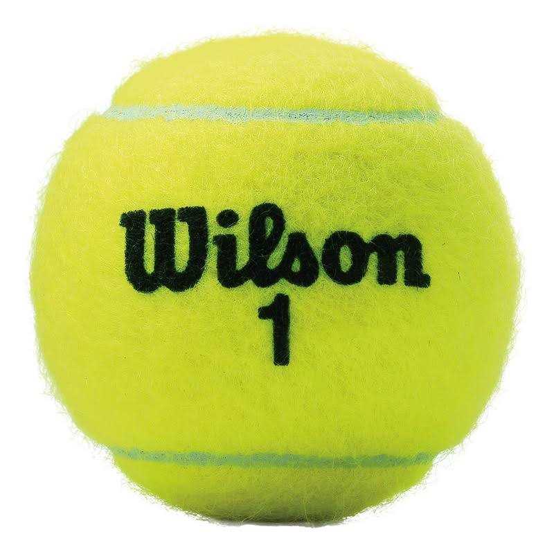 Wilson Championship Extra Duty Tennis Ball Case - Sports Supplies Online Store