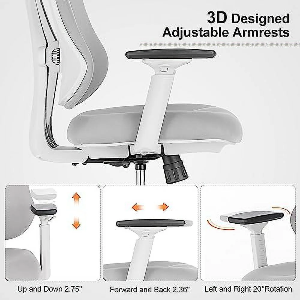 Ergonomic Office Chair Dual Backrests  BV Lumbar Support Office Desk Chair Back Support  Breathable mesh Office Chair 3D Adjustable Armrest