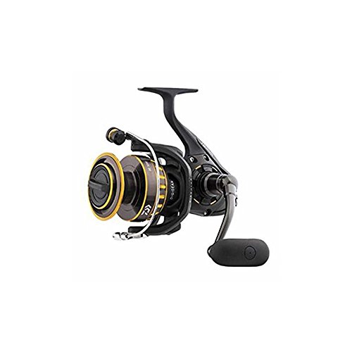 Daiwa BG Spinning Reel
