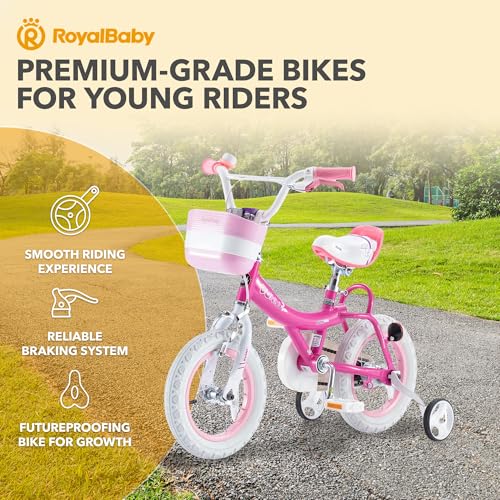 Royalbaby Princess Girls Kids Bike 12 14 16 18 20 Inch Children Bicycle with Basket for Age 3-12 Years