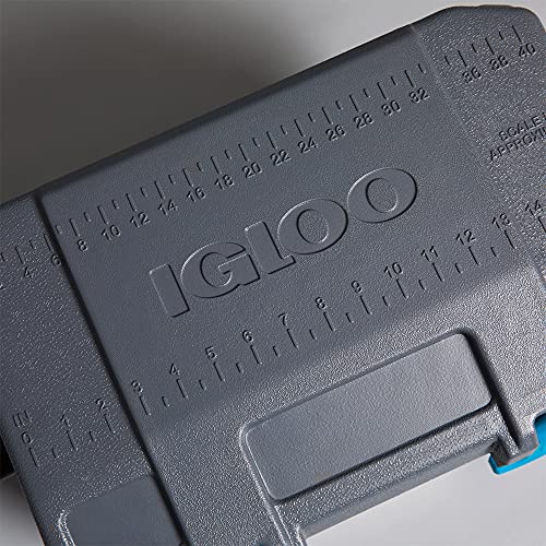 Igloo BMX Hard Coolers (25-72QT)