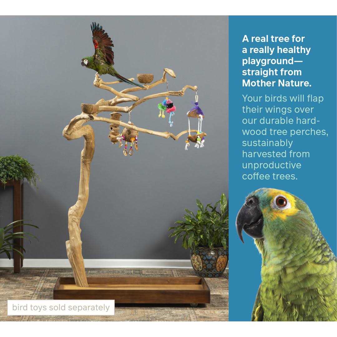 Prevue Pet Products Coffeawood Tree Style #2 Floor Stand - Pet Supplies online store