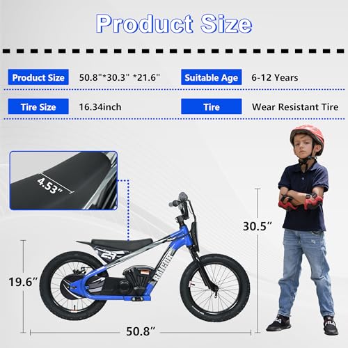 wanan Electric Dirt Bike for Kids 6-12 with Shock-Absorbing Front Fork, 250W Electric Motorcycle Up to 15.5MPH, 24V Detachable Battery, 16''