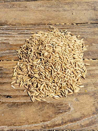 Ernst Grain's Oats, Feed Grade, 50 lb