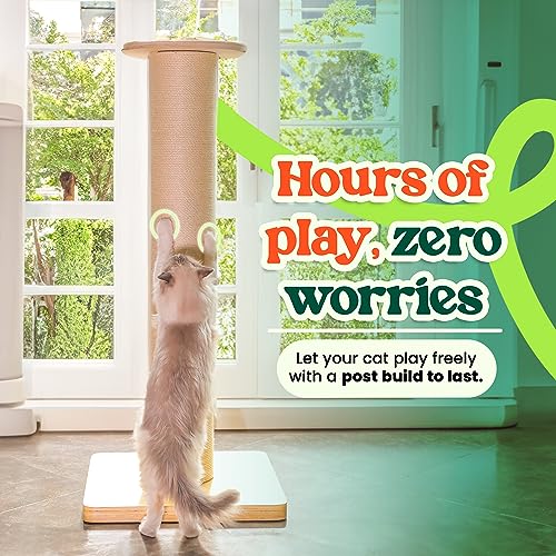 50" Tall Cat Scratching Post, Extra-Large Cat Scratch Post for Biggest Cats (Maine Coon), 7.3” Thick Post, 36lbs Weight