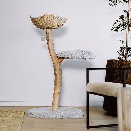Wooden Cat Climbing Tree Tower, Modern Single Branch Cat Condo, Wood, Cat Lover Furniture Gift by MAU LIFESTYLE (Alpine White)