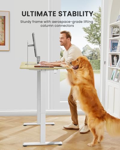 ErGear Height Adjustable Electric Standing Desk, 48 x 24 Inches Sit Stand up Desk, Memory Computer Home Office Desk with Two-Piece Desktop (Walnut)