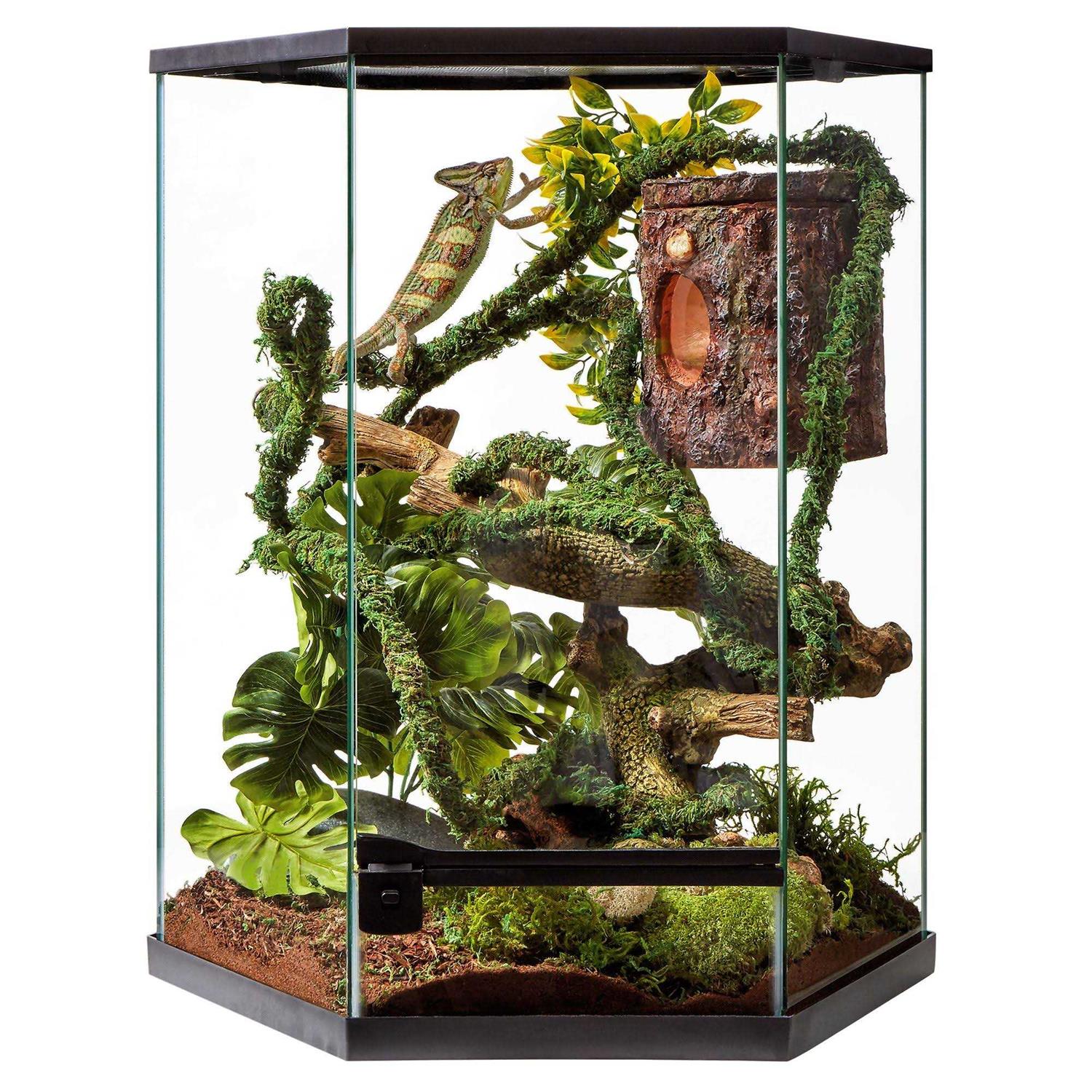 Thrive Tropical Reptile Vertical Hexagon Terrarium -20 Gallon - Pet Supplies online store