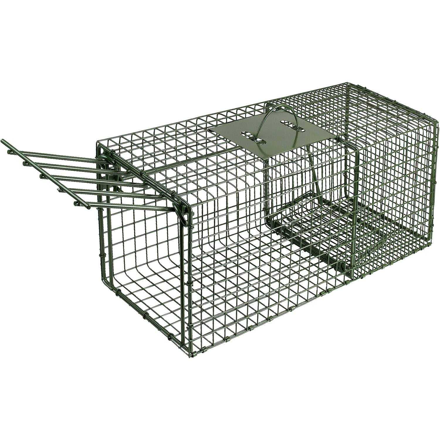 Duke Heavy Duty Cage Trap X-Large - Sports Supplies Online Store
