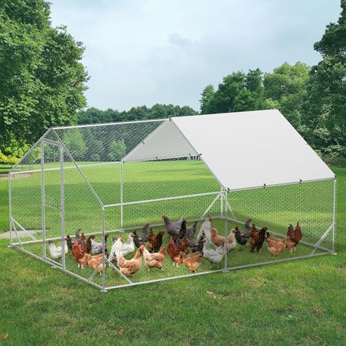 Large Metal Chicken Coop, Walk-in Poultry Cage
