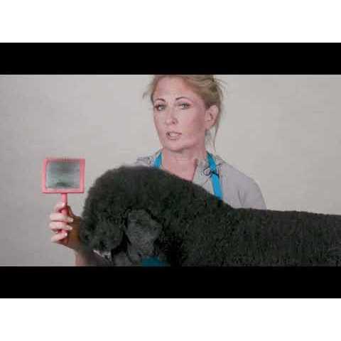 Chris Christensen Big Slicker - Pet Supplies online store
