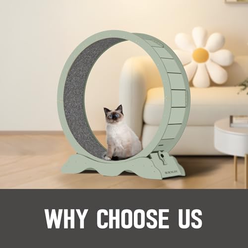 Cat Exercise Wheel 45 Inch Cat Treadmill for Indoor Cats, Running Wheel with Detachable Carpeted Runway