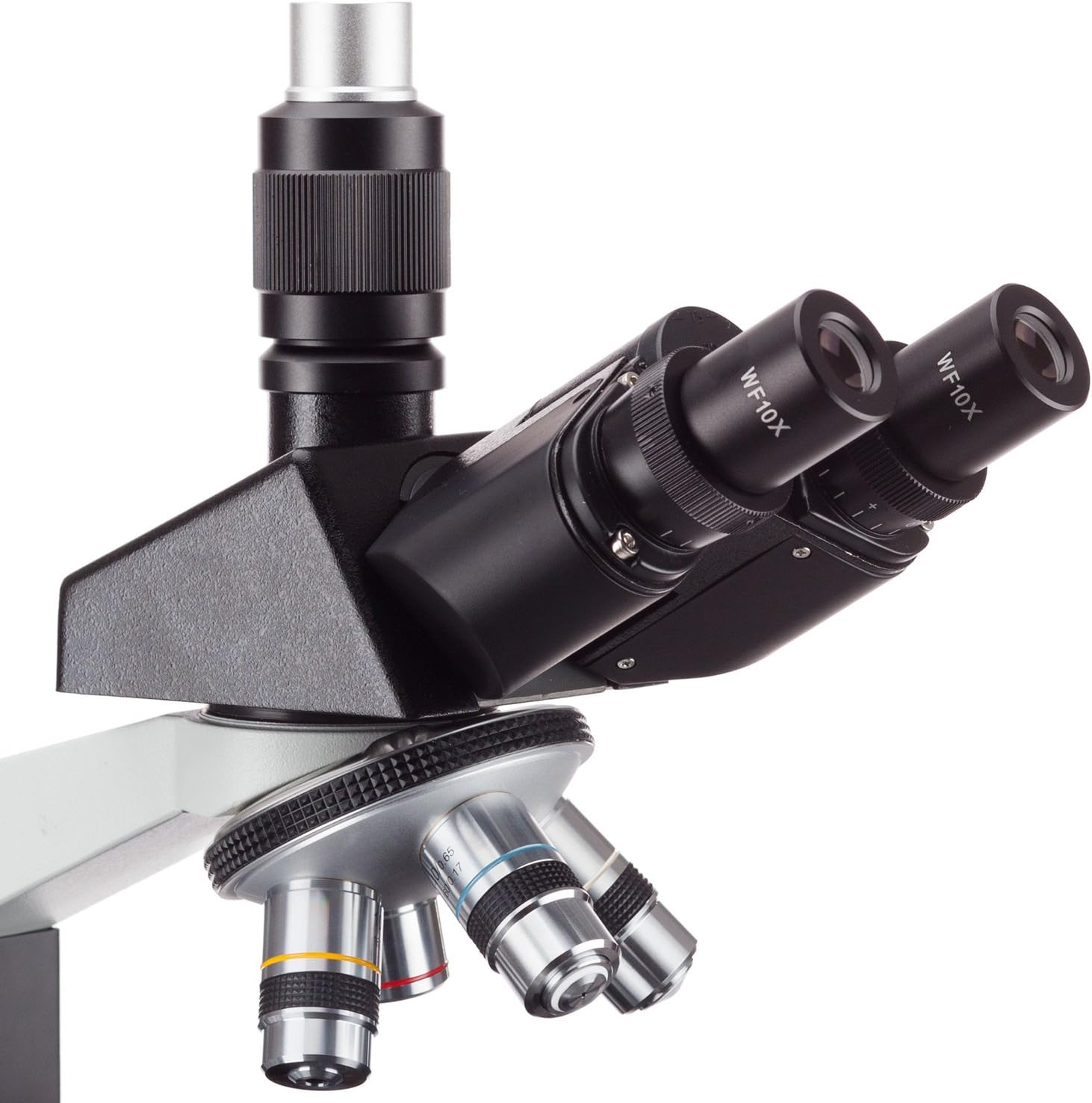 AmScope T490B Compound Trinocular Microscope, 40X-2000X Magnification, Halogen Light, Abbe Condenser, 2-Layer Mechanical Stage