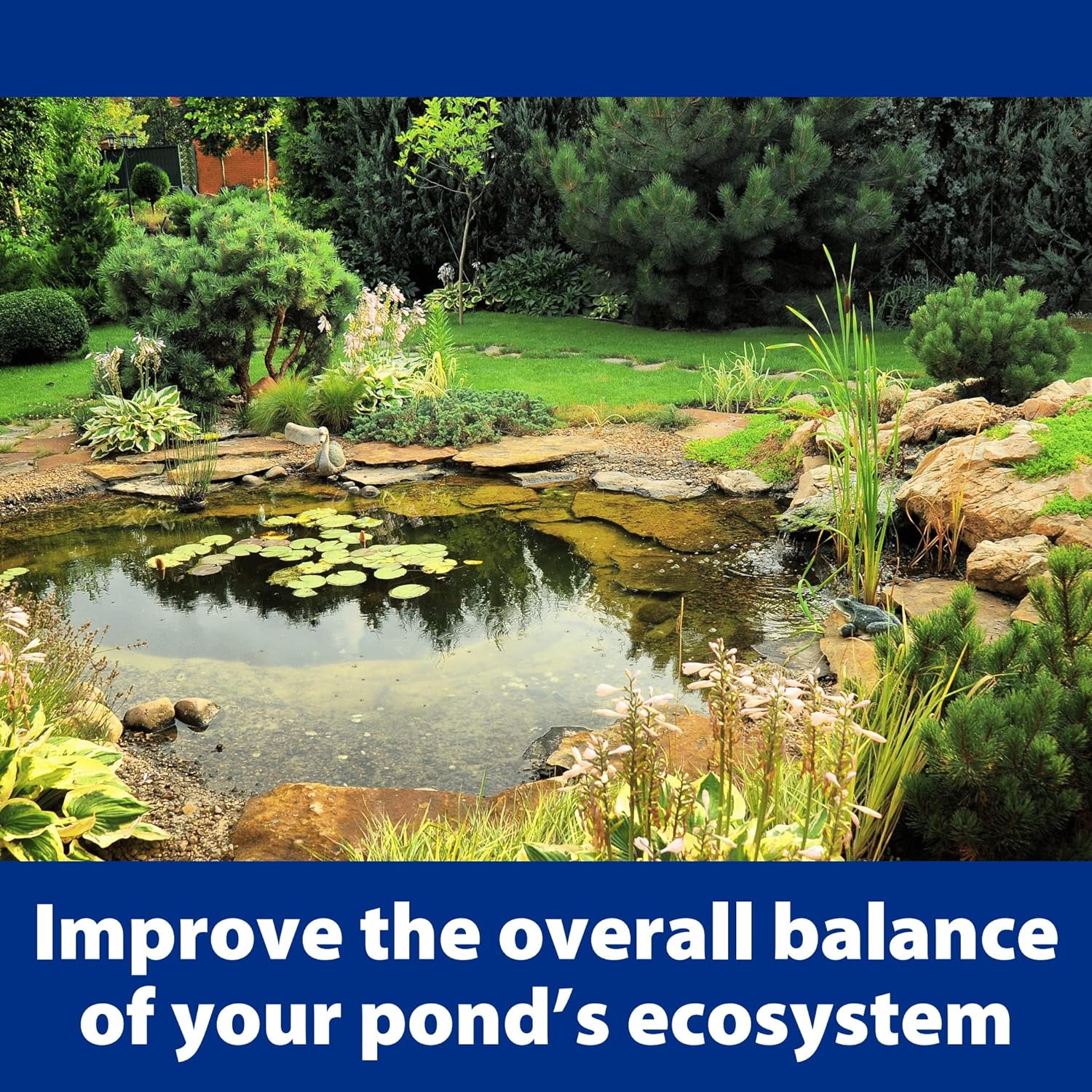 The Pond Guy AllClear G2 Bio Pressure Filter &amp; Ultraviolet Light Clarifier with Backflush System, Pressurized External UVC Biological &amp